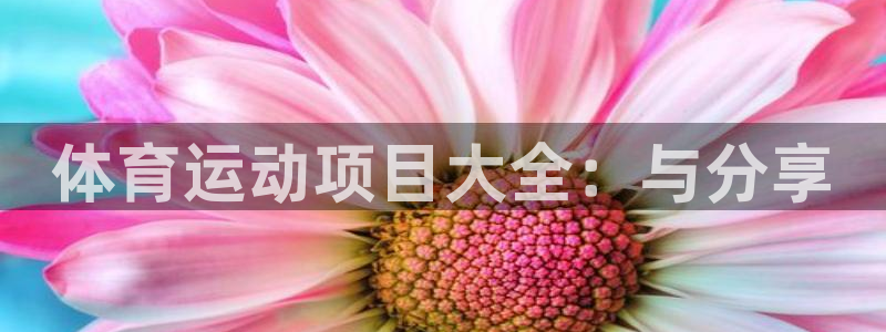 必一运动bsport体育：体育运动项目大全：与分享