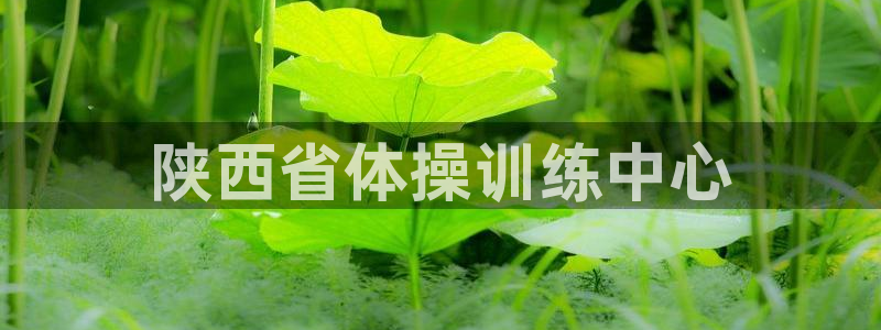 b体育必一运动官网：陕西省体操训练中心
