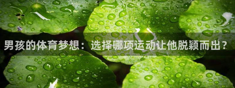必一运动官网：男孩的体育梦想：选择哪项运动让他脱颖而出？