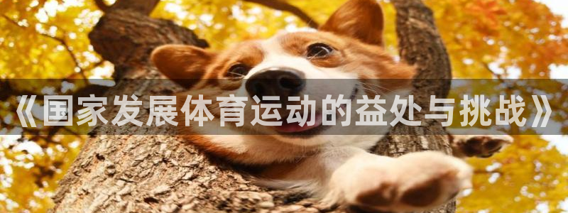 必一运动官网：《国家发展体育运动的益处与挑战》