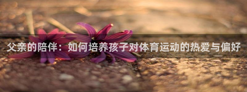 必一运动官网：父亲的陪伴：如何培养孩子对体育运动的热爱与偏好