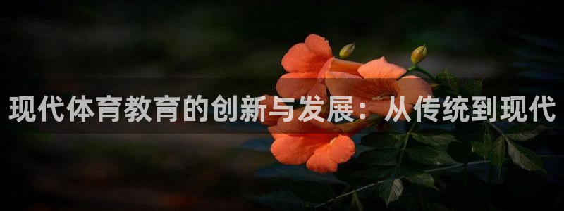 必一运动体育官网：现代体育教育的创新与发展：从传统到现代