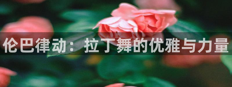 必一运动bsport体育：伦巴律动：拉丁舞的优雅与力量