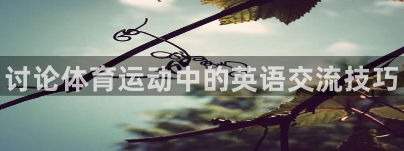 必一运动官网入口：讨论体育运动中的英语交流技巧