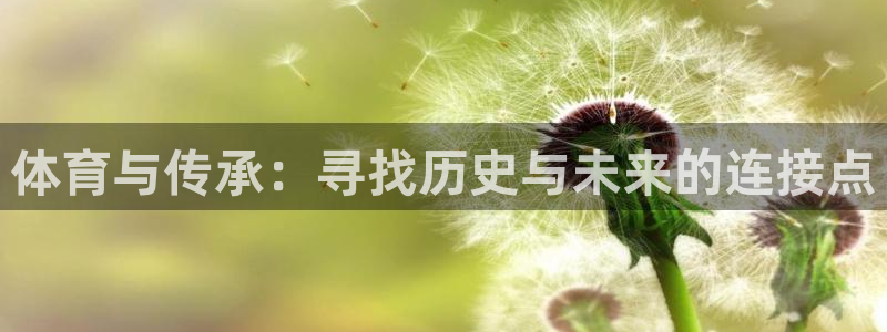 bsports必一运动：体育与传承：寻找历史与未来的连接点
