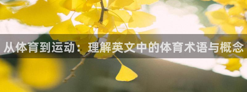 bsports官网 必一运动：从体育到运动：理解英文中的体育术语与概念