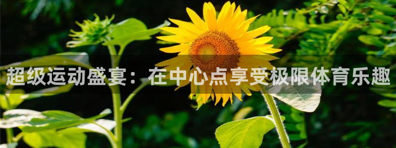 必一运动app：超级运动盛宴：在中心点享受极限体育乐趣