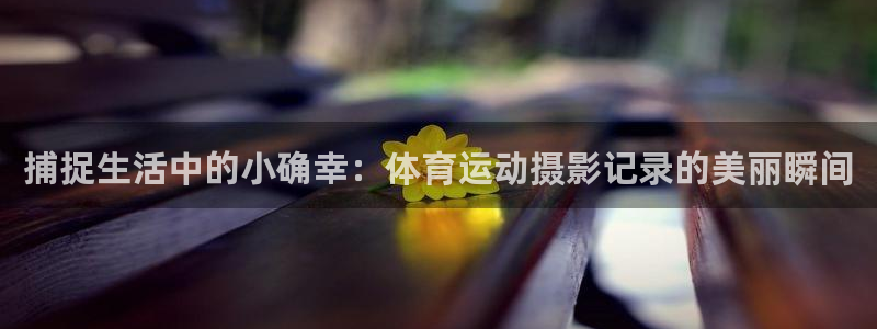 bsports必一运动：捕捉生活中的小确幸：体育运动摄影记录的美丽瞬间