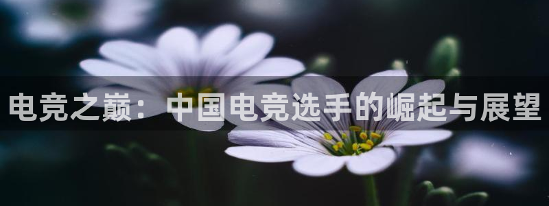 必一运动官网入口：电竞之巅：中国电竞选手的崛起与展望